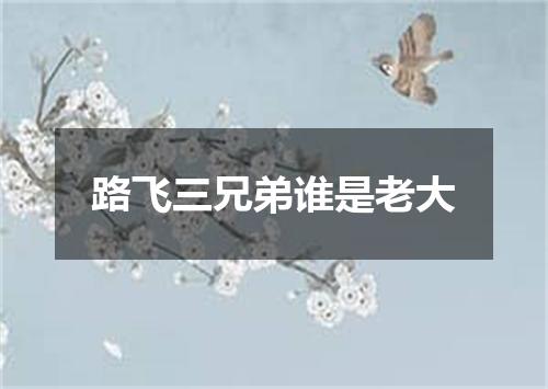 路飞三兄弟谁是老大