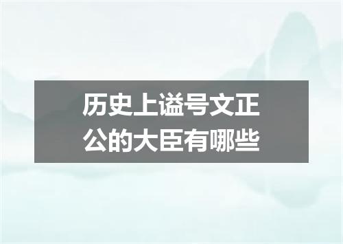历史上谥号文正公的大臣有哪些