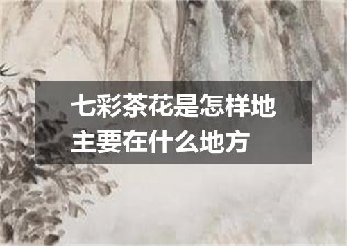 七彩茶花是怎样地主要在什么地方