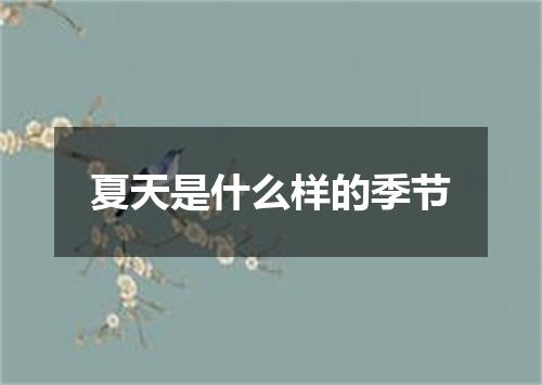 夏天是什么样的季节