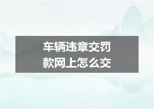 车辆违章交罚款网上怎么交