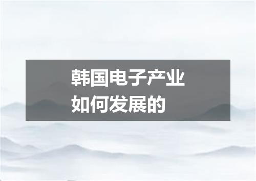 韩国电子产业如何发展的