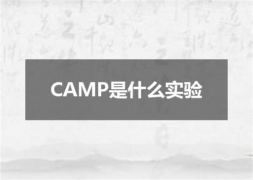 CAMP是什么实验