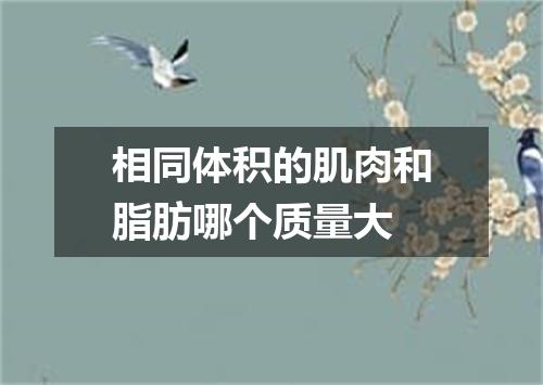 相同体积的肌肉和脂肪哪个质量大