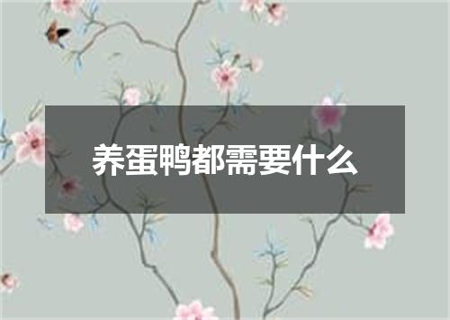 养蛋鸭都需要什么