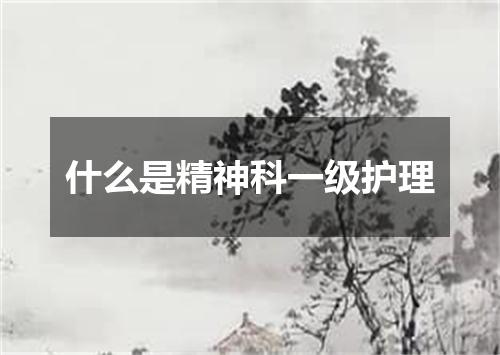 什么是精神科一级护理