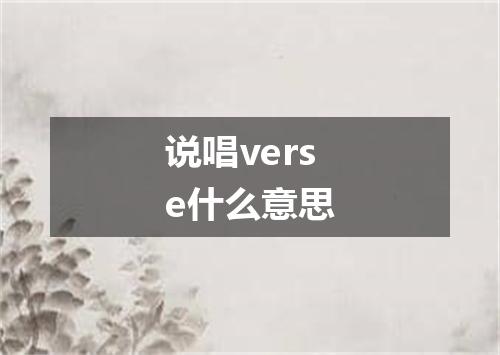 说唱verse什么意思