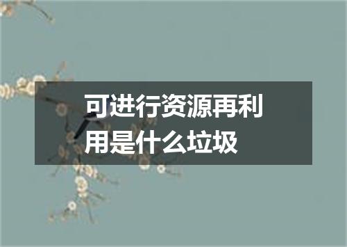 可进行资源再利用是什么垃圾