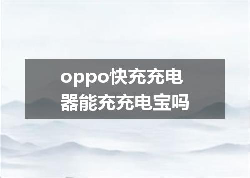 oppo快充充电器能充充电宝吗