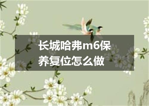 长城哈弗m6保养复位怎么做