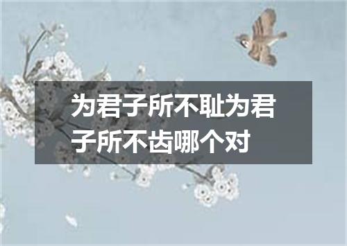 为君子所不耻为君子所不齿哪个对