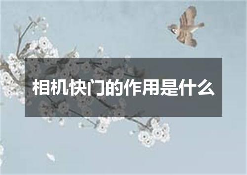 相机快门的作用是什么