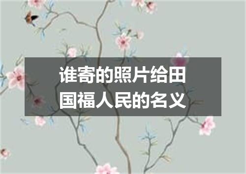 谁寄的照片给田国福人民的名义