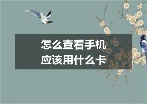 怎么查看手机应该用什么卡