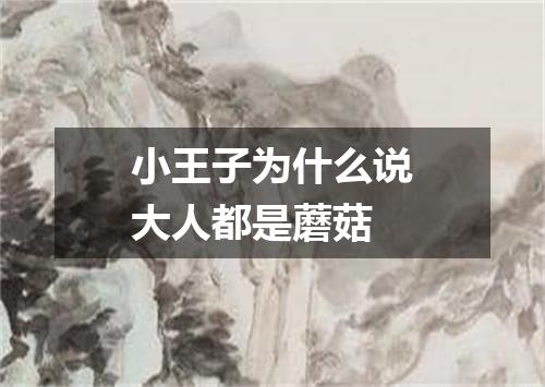 小王子为什么说大人都是蘑菇