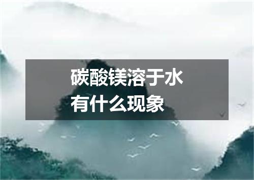 碳酸镁溶于水有什么现象