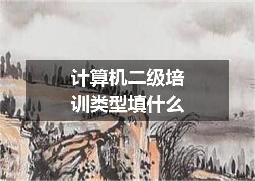 计算机二级培训类型填什么