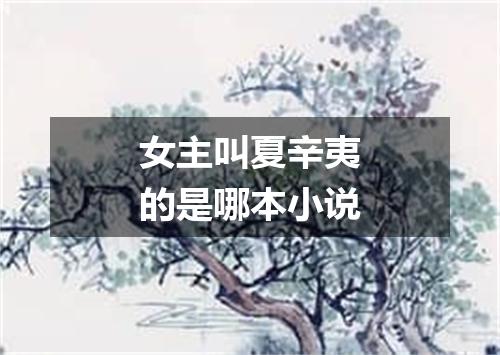 女主叫夏辛夷的是哪本小说