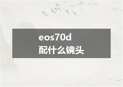 eos70d配什么镜头