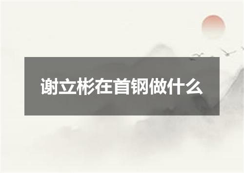 谢立彬在首钢做什么