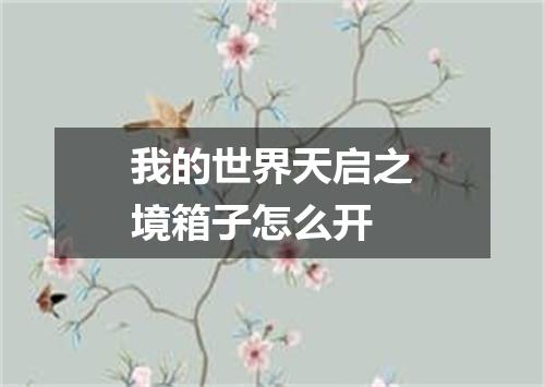 我的世界天启之境箱子怎么开