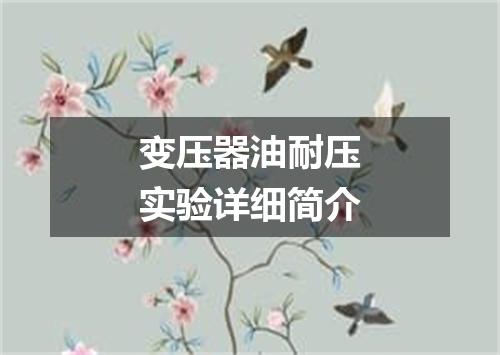 变压器油耐压实验详细简介