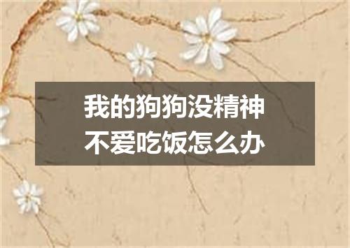 我的狗狗没精神不爱吃饭怎么办