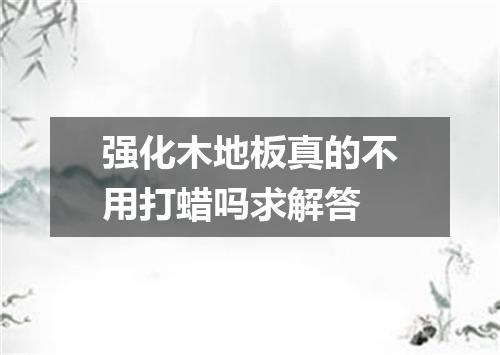 强化木地板真的不用打蜡吗求解答