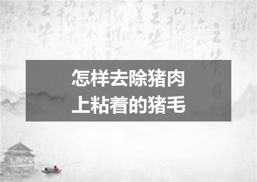 怎样去除猪肉上粘着的猪毛