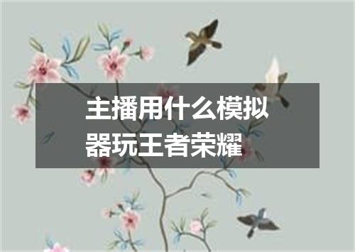 主播用什么模拟器玩王者荣耀