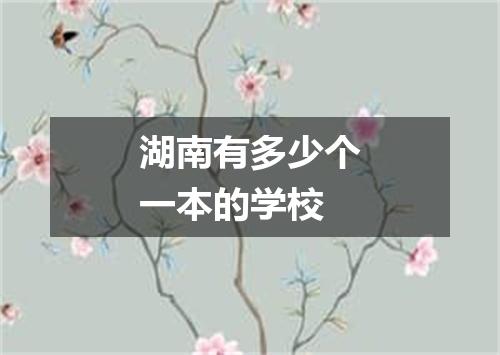 湖南有多少个一本的学校