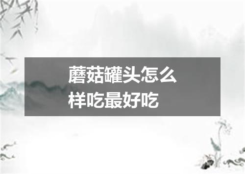 蘑菇罐头怎么样吃最好吃