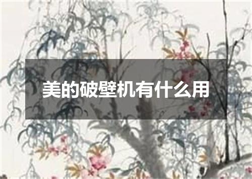 美的破壁机有什么用