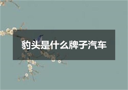 豹头是什么牌子汽车