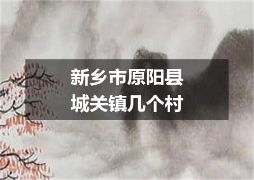 新乡市原阳县城关镇几个村