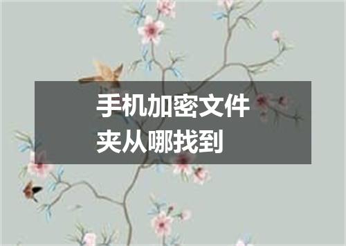 手机加密文件夹从哪找到