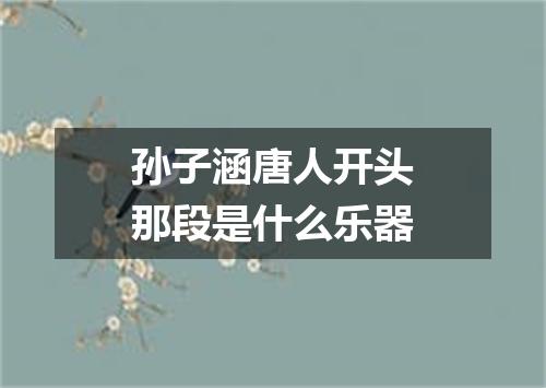 孙子涵唐人开头那段是什么乐器