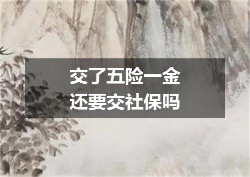 交了五险一金还要交社保吗