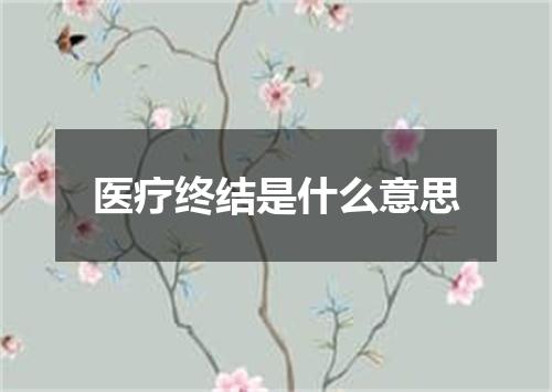 医疗终结是什么意思