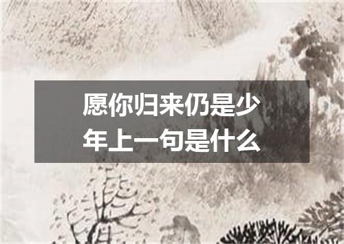 愿你归来仍是少年上一句是什么