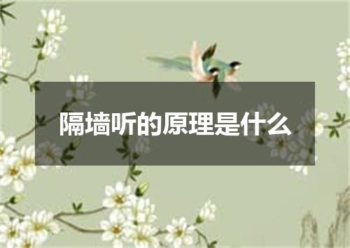 隔墙听的原理是什么