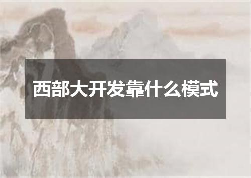 西部大开发靠什么模式