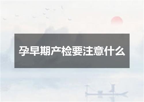 孕早期产检要注意什么