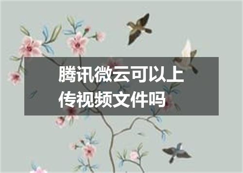 腾讯微云可以上传视频文件吗