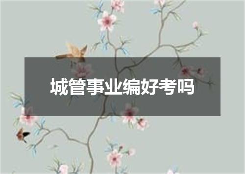 城管事业编好考吗