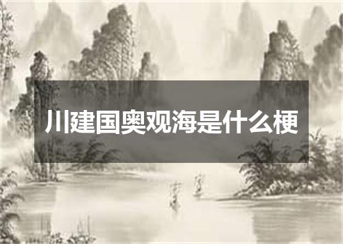 川建国奥观海是什么梗