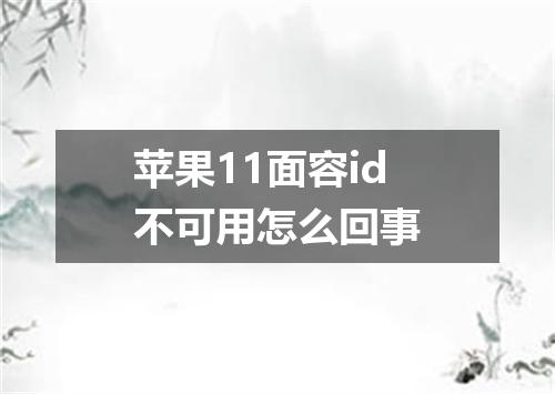 苹果11面容id不可用怎么回事