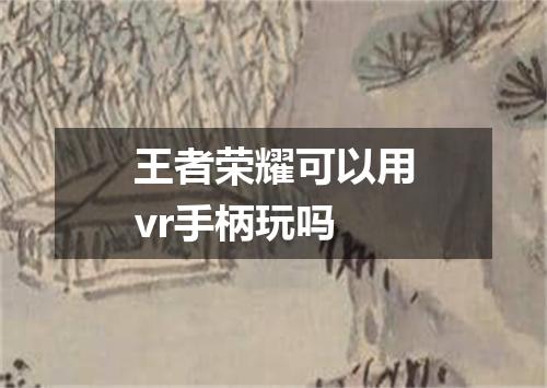 王者荣耀可以用vr手柄玩吗