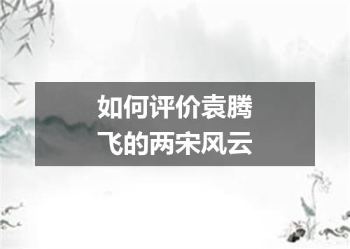 如何评价袁腾飞的两宋风云