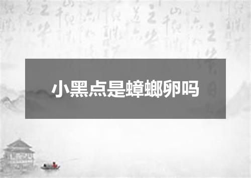 小黑点是蟑螂卵吗
